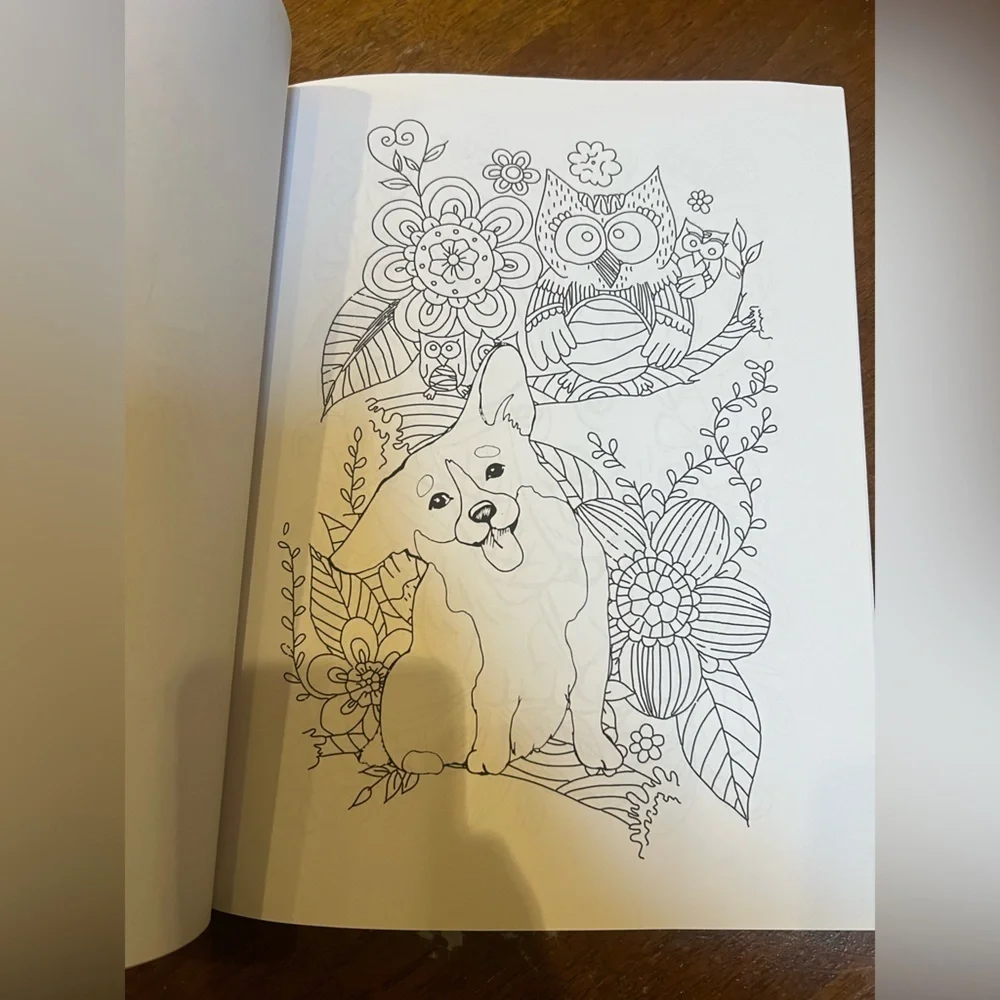 Set of 5 Corgis Coloring Books